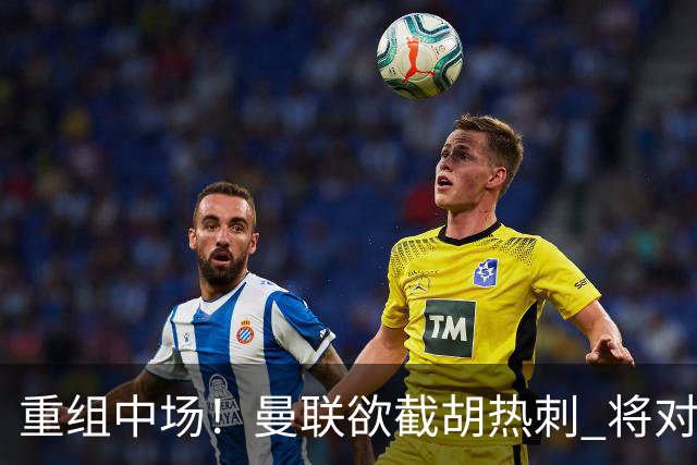 重组中场！曼联欲截胡热刺 将对M·费尔南德斯开高额报价